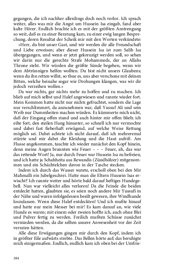 Seite 384