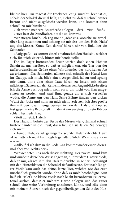 Seite 386
