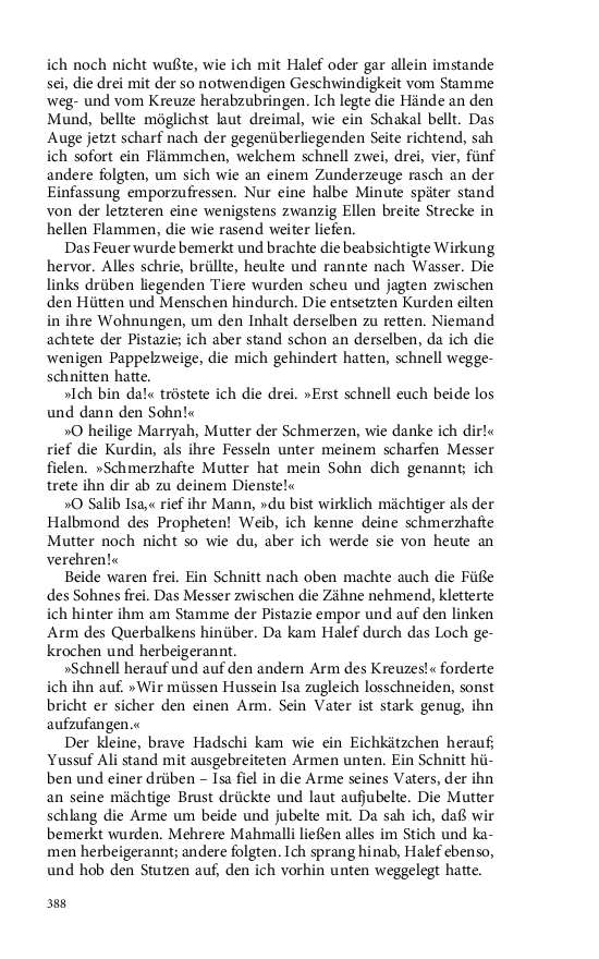 Seite 388