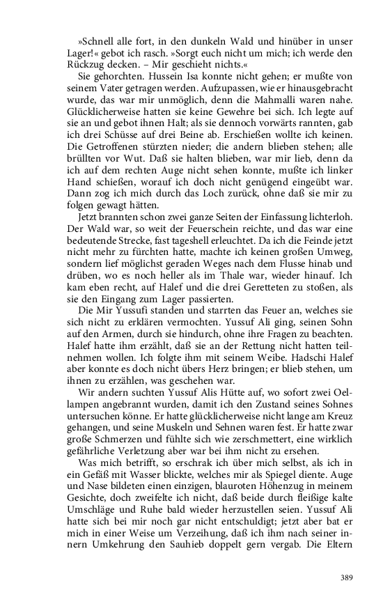 Seite 389