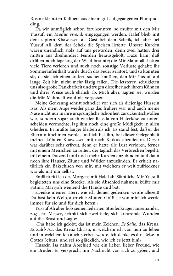 Seite 391
