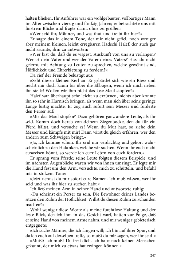 Seite 247