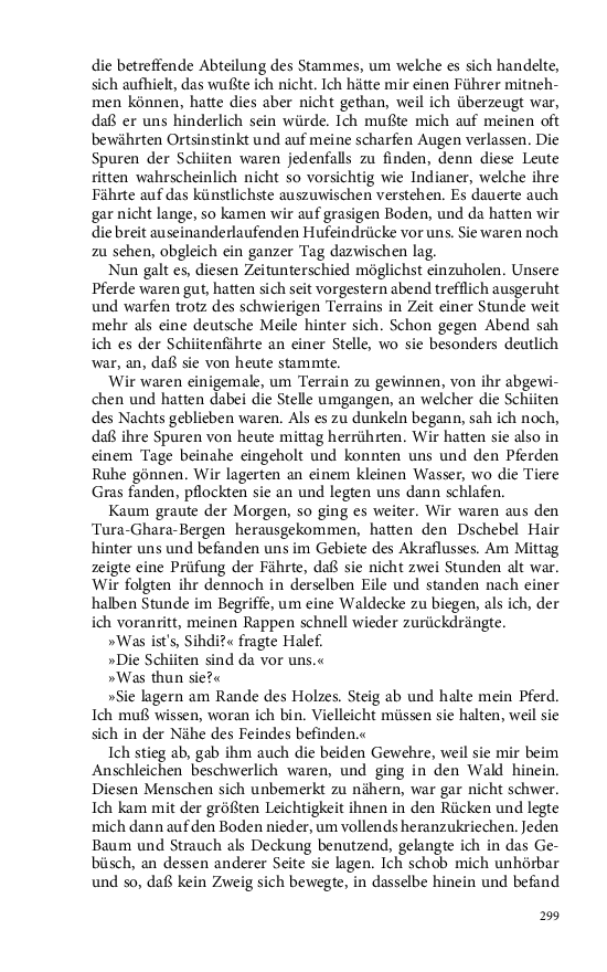 Seite 299