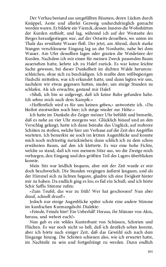 Seite 301