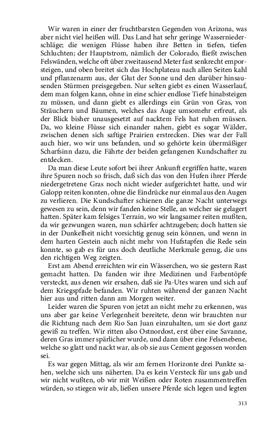 Seite 313