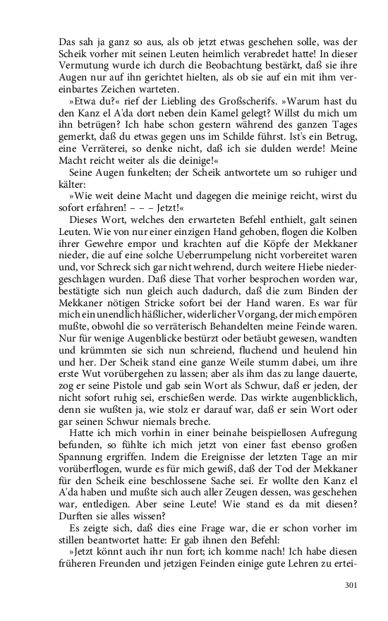Seite 301
