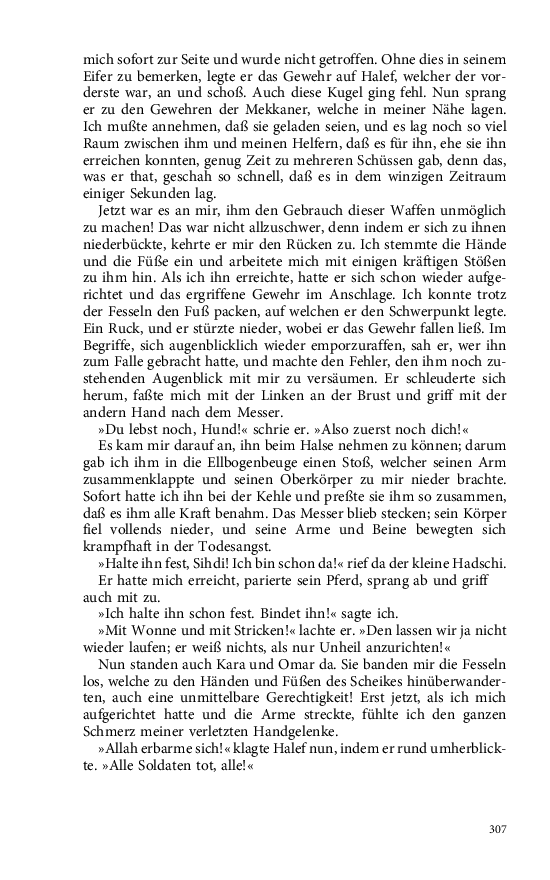 Seite 307