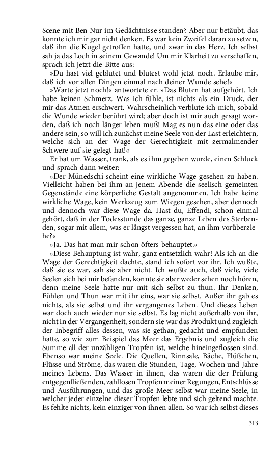 Seite 313