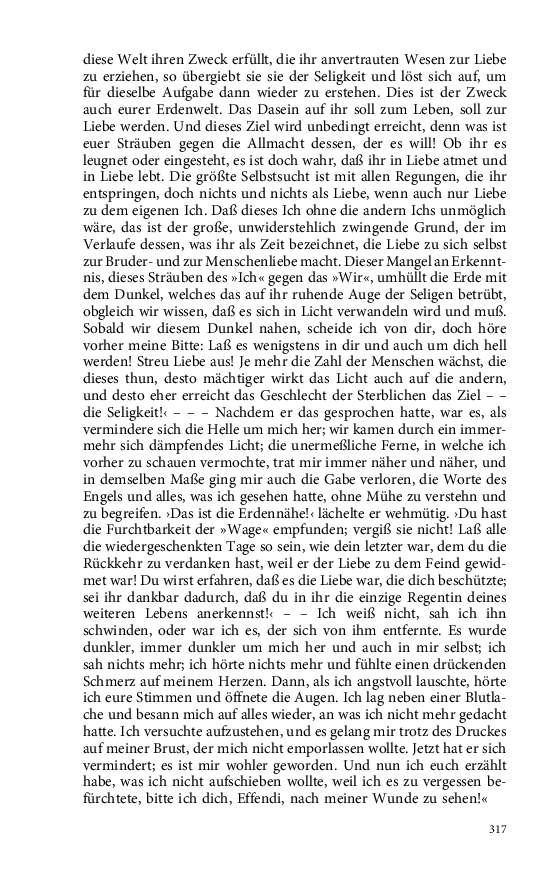 Seite 317