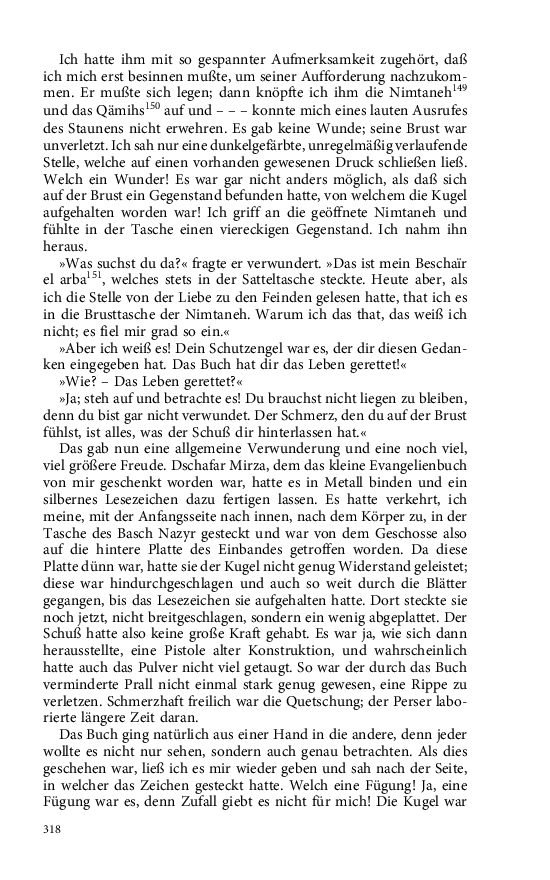 Seite 318