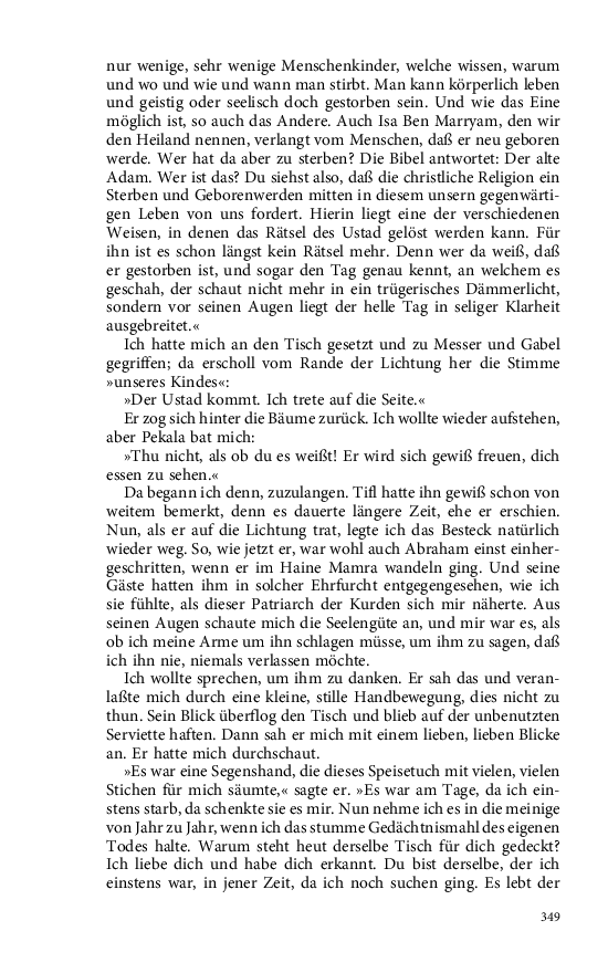 Seite 349