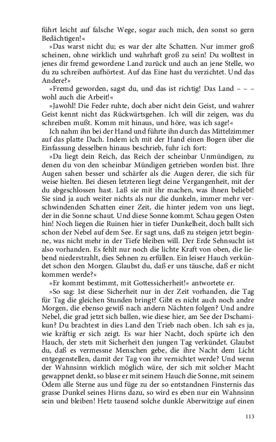 Seite 113