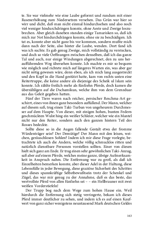 Seite 163