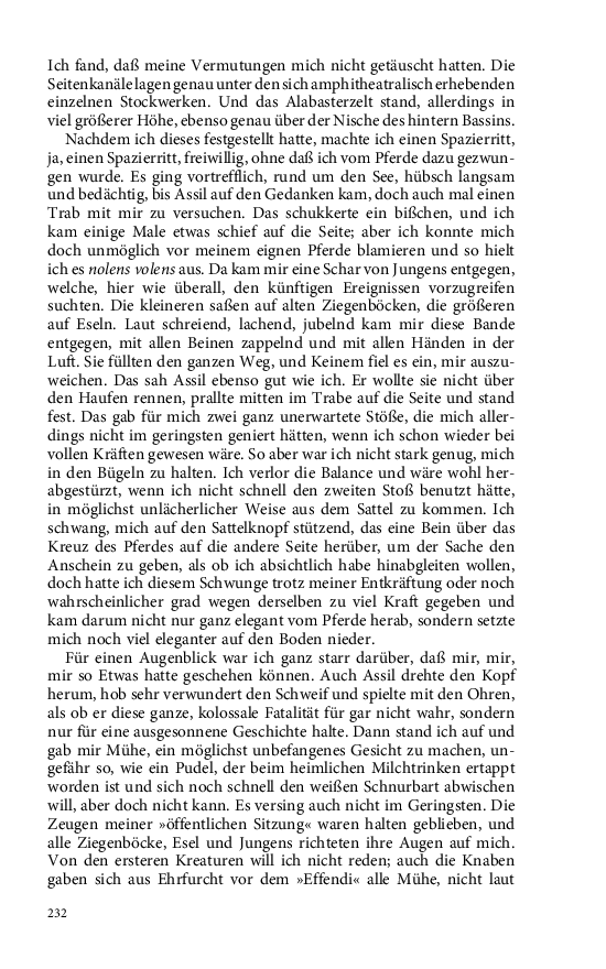 Seite 232