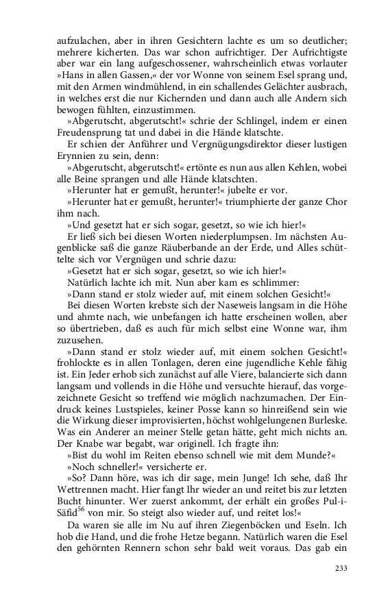 Seite 233