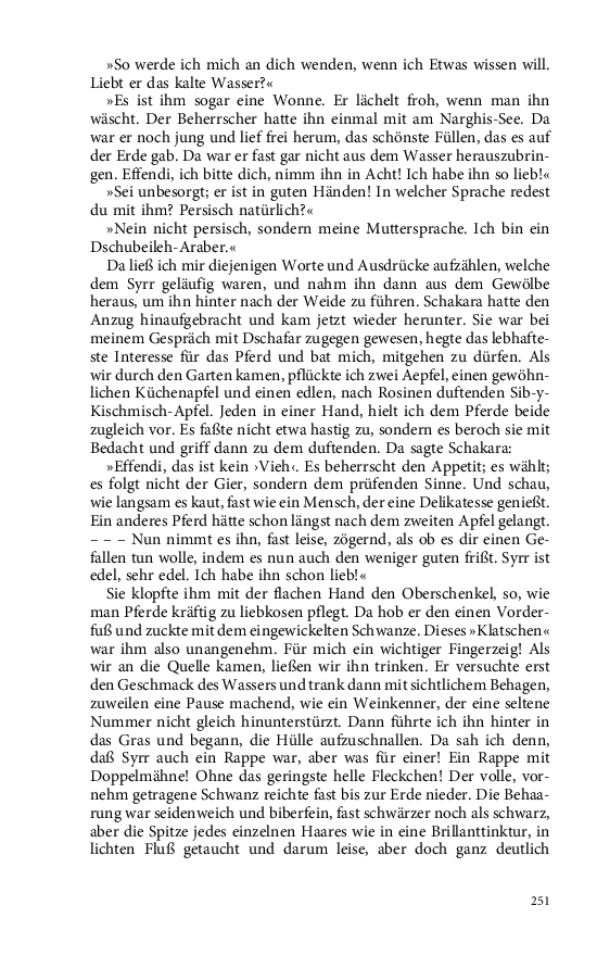 Seite 251