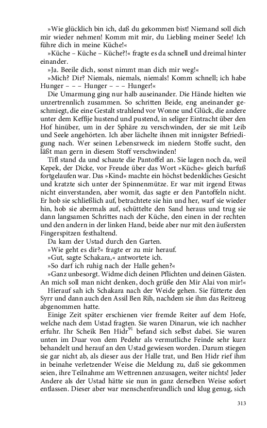 Seite 313