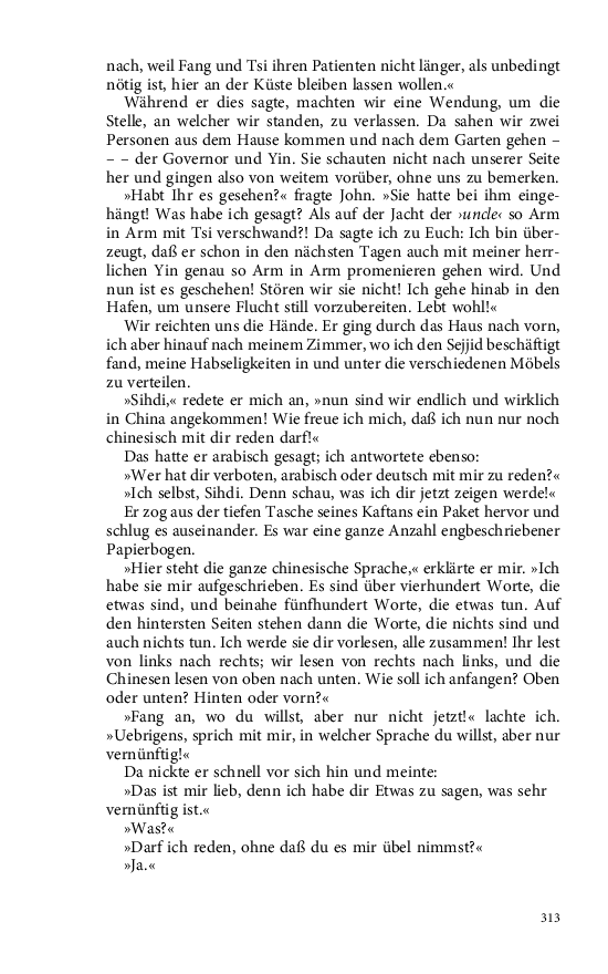 Seite 313