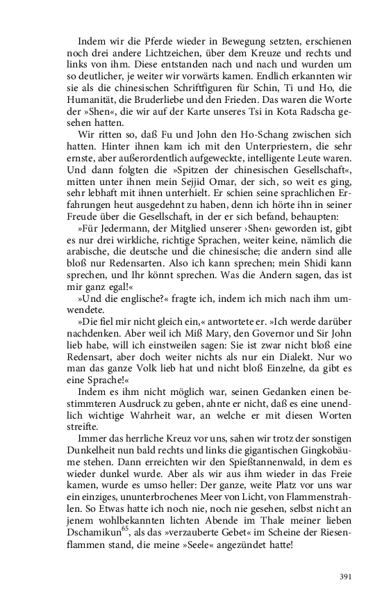 Seite 391
