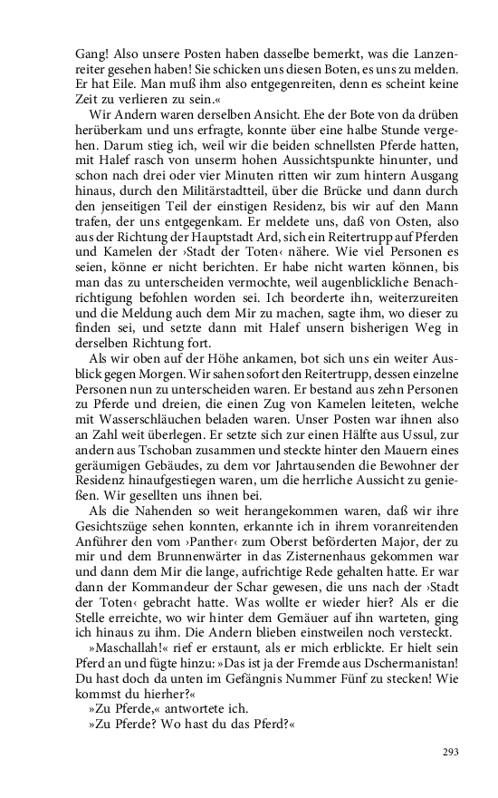 Seite 293