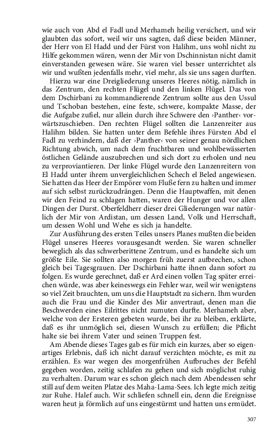 Seite 307