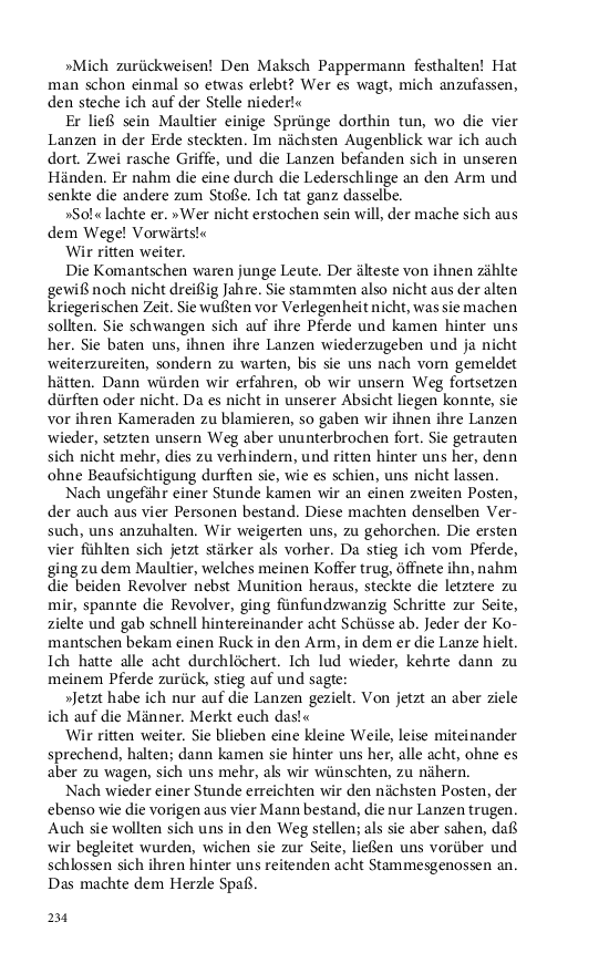 Seite 234
