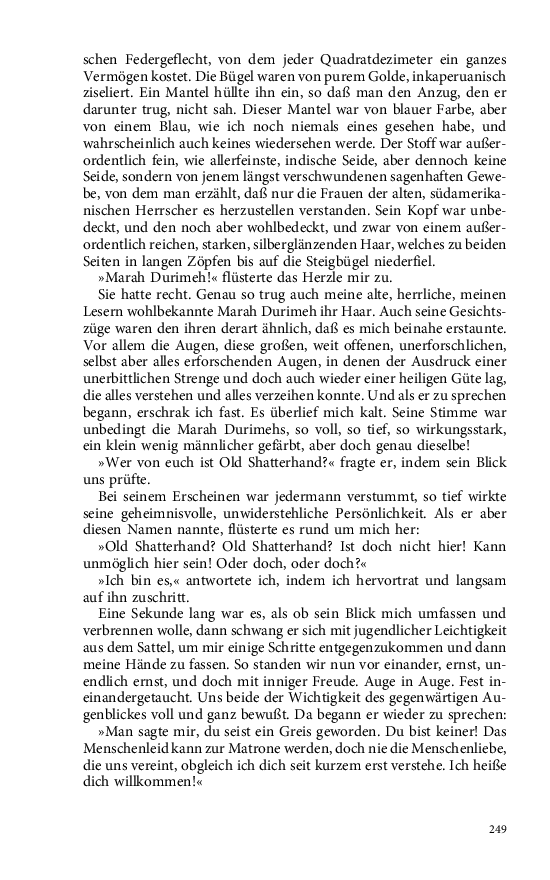 Seite 249