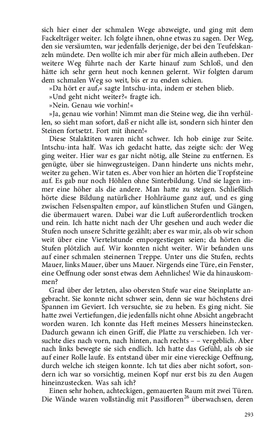 Seite 293