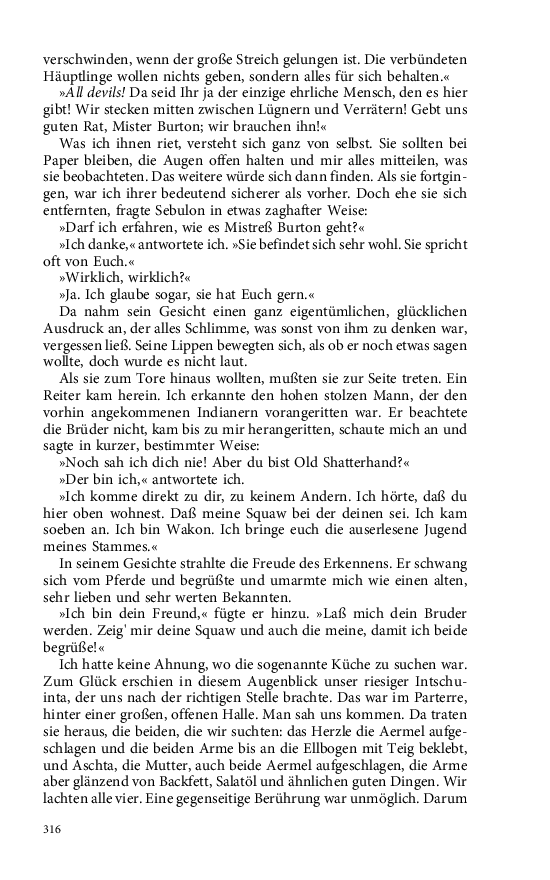 Seite 316