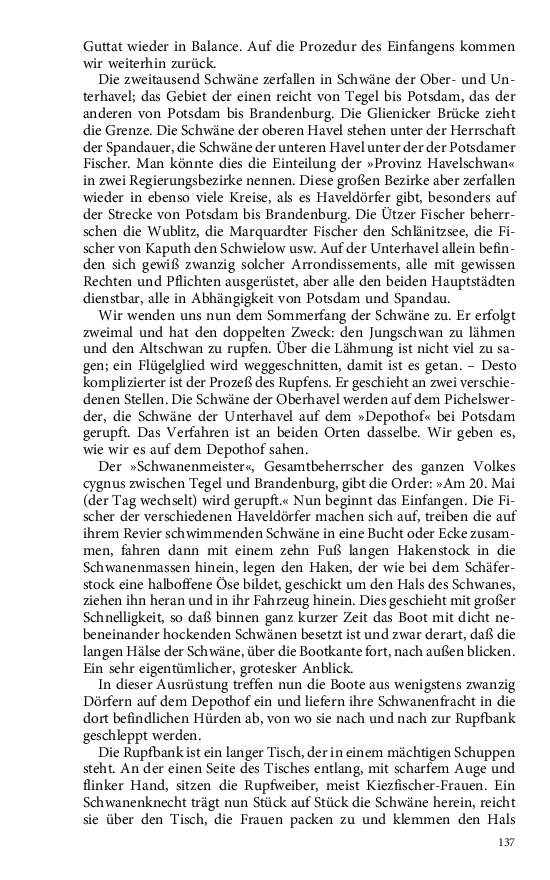 Seite 137
