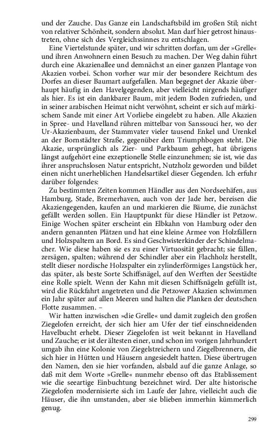 Seite 299