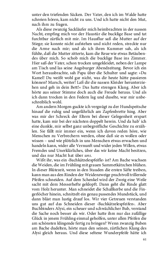Seite 61