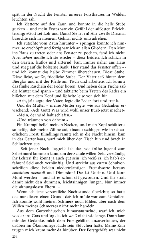Seite 234