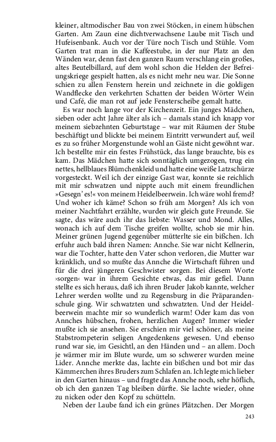 Seite 243