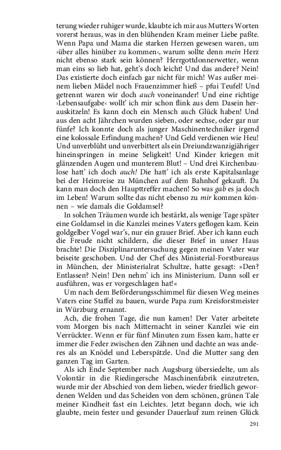 Seite 291