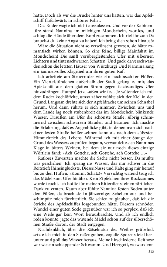 Seite 313