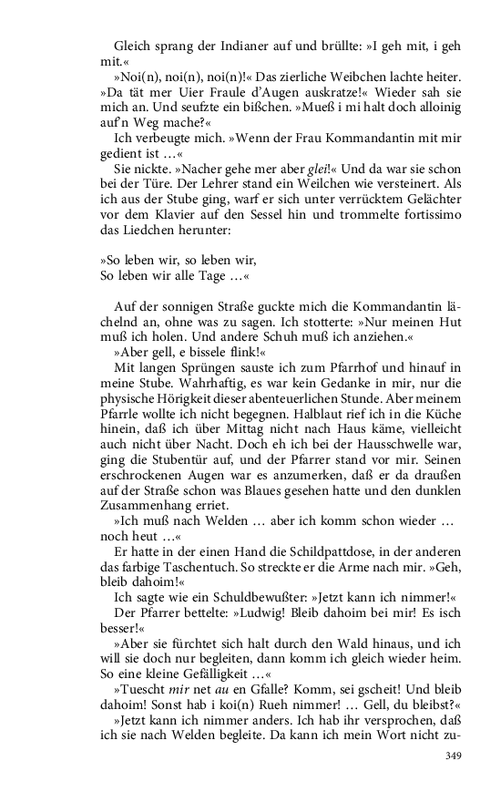 Seite 349