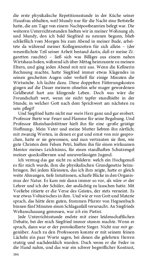 Seite 384
