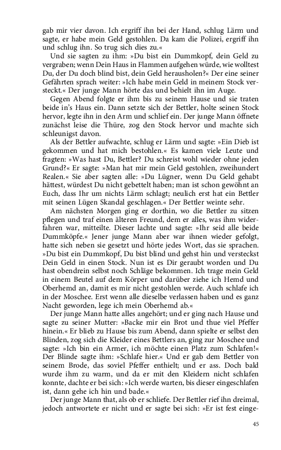 Seite 45