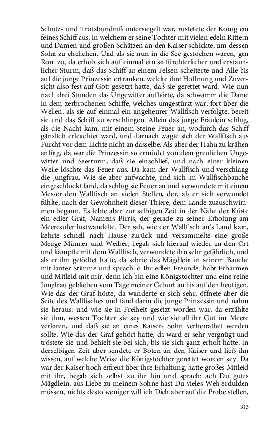 Seite 313