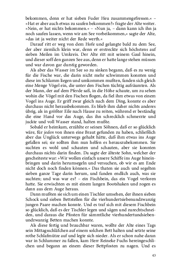 Seite 43