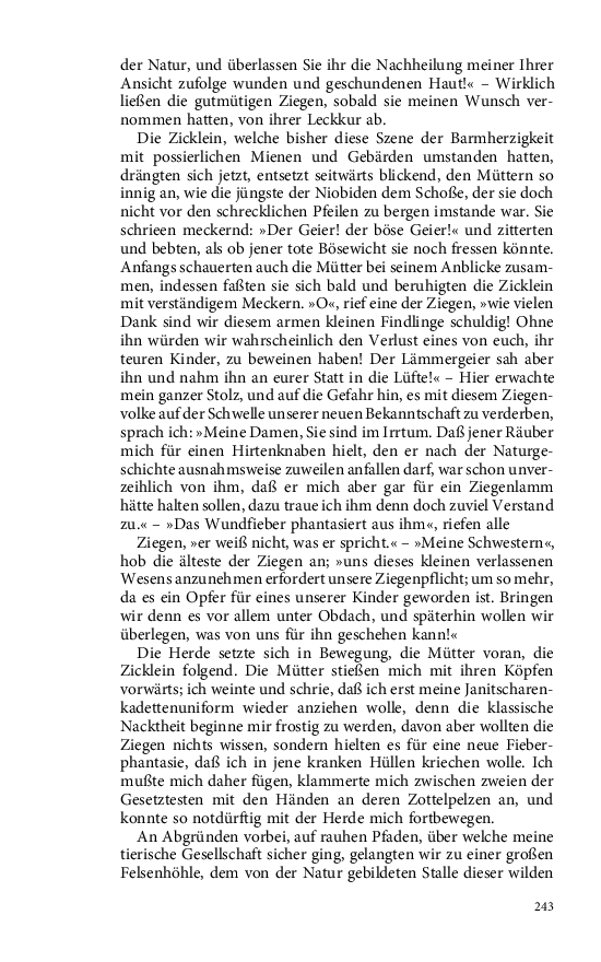 Seite 243