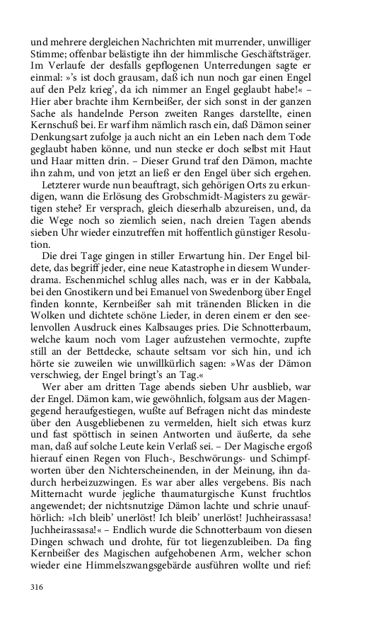 Seite 316