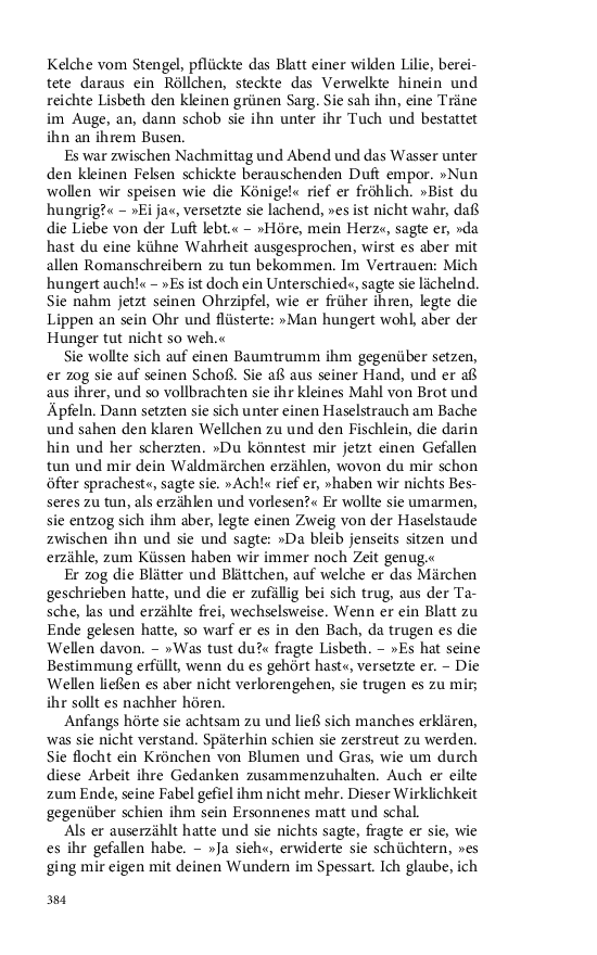 Seite 384