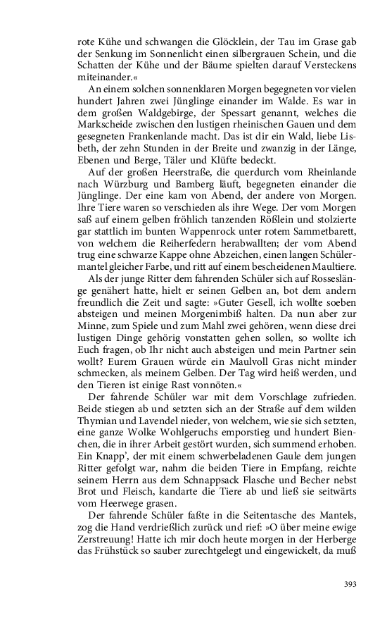 Seite 393