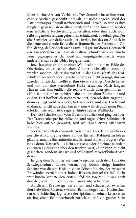 Seite 531