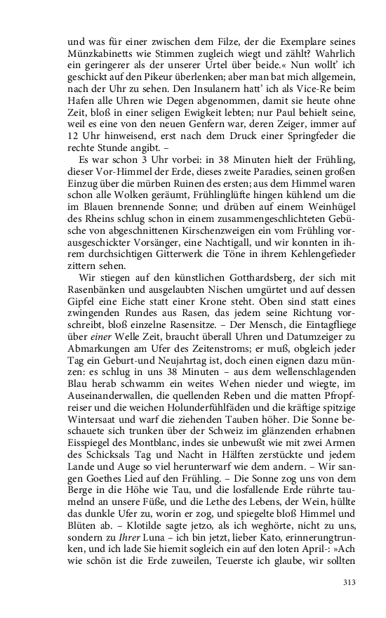 Seite 313