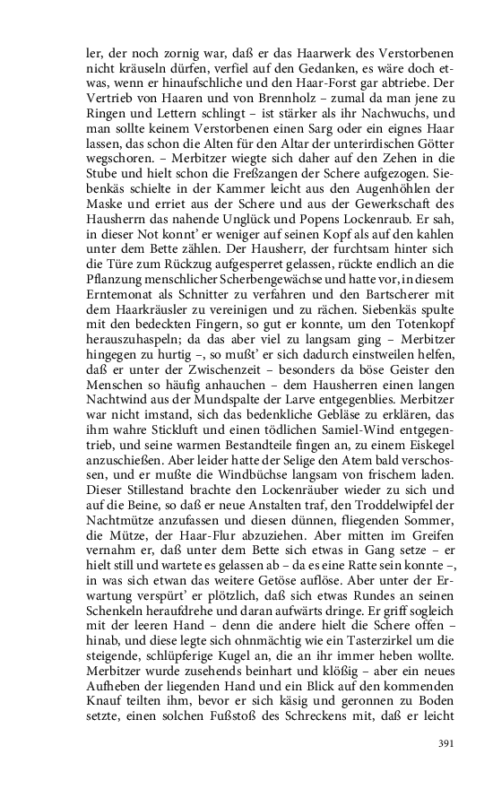 Seite 391