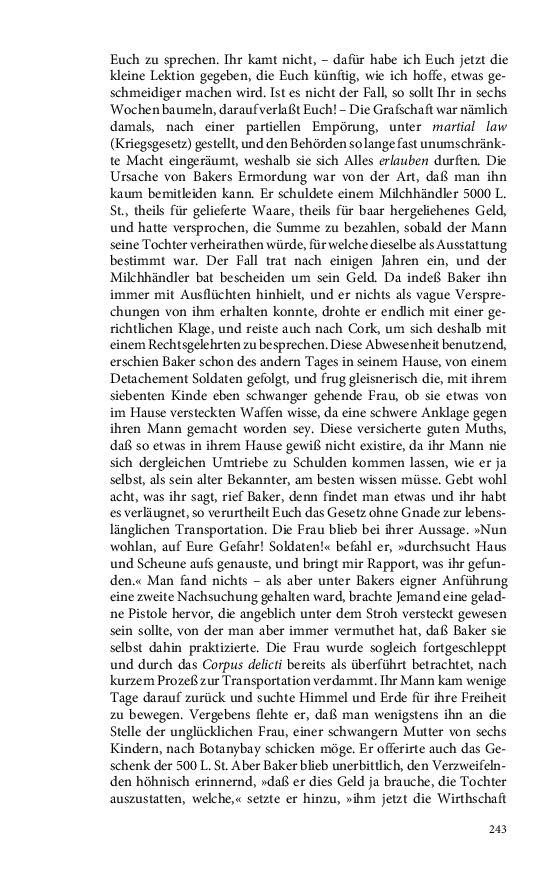 Seite 243