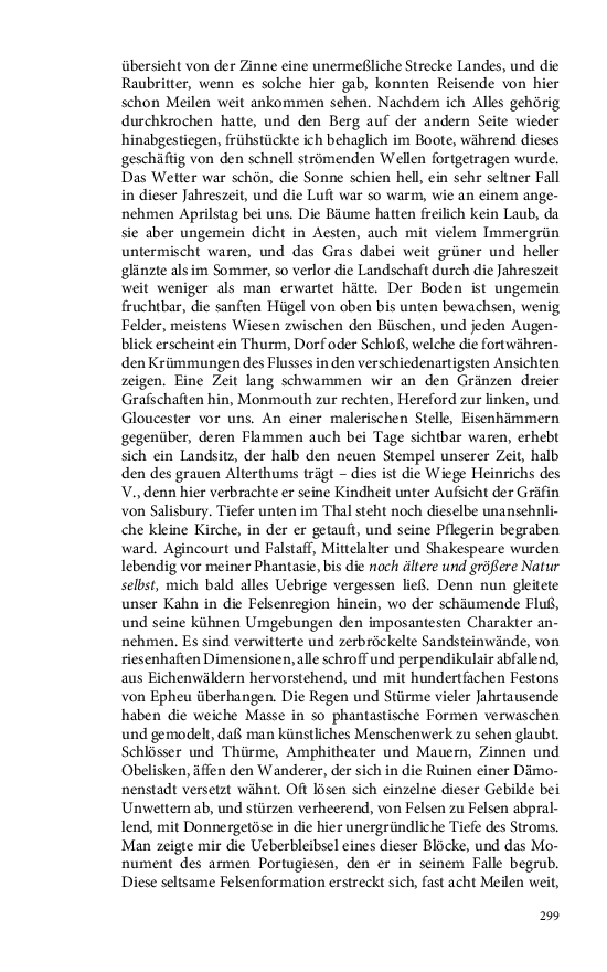 Seite 299